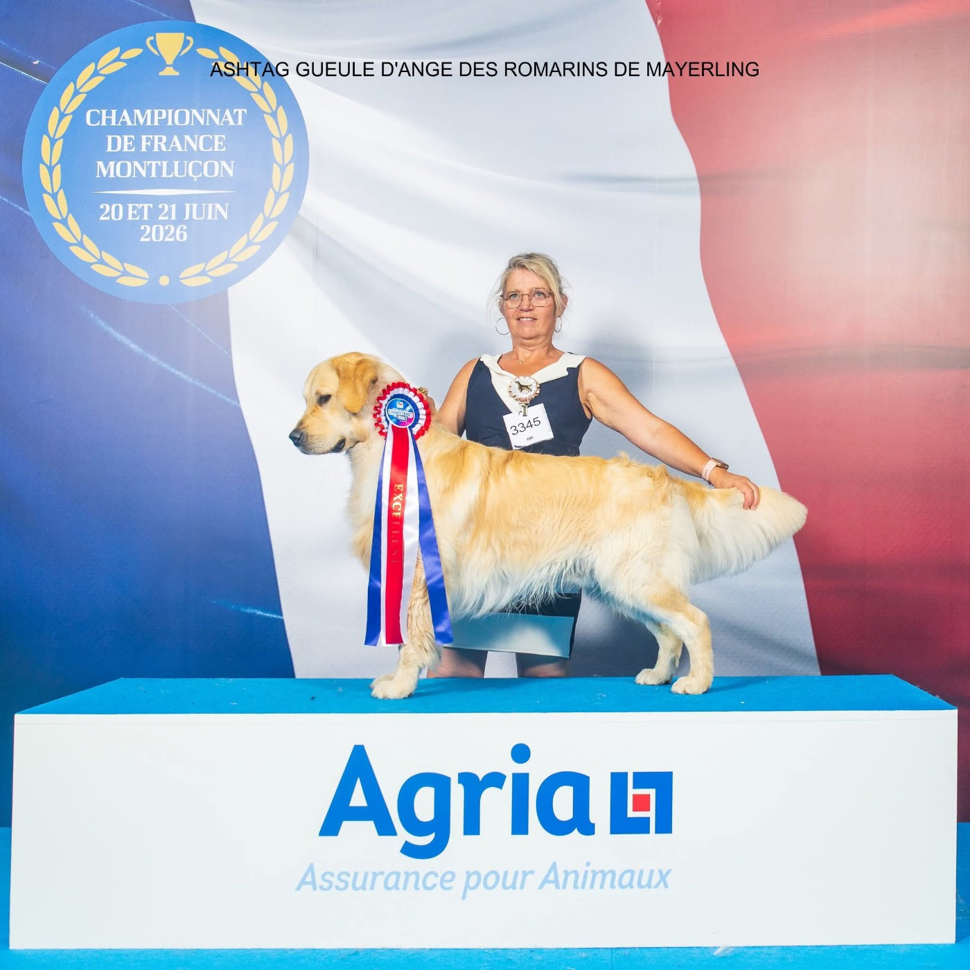 CH. Ashtag Gueule D-Ange Ruben  des Romarins de Mayerling